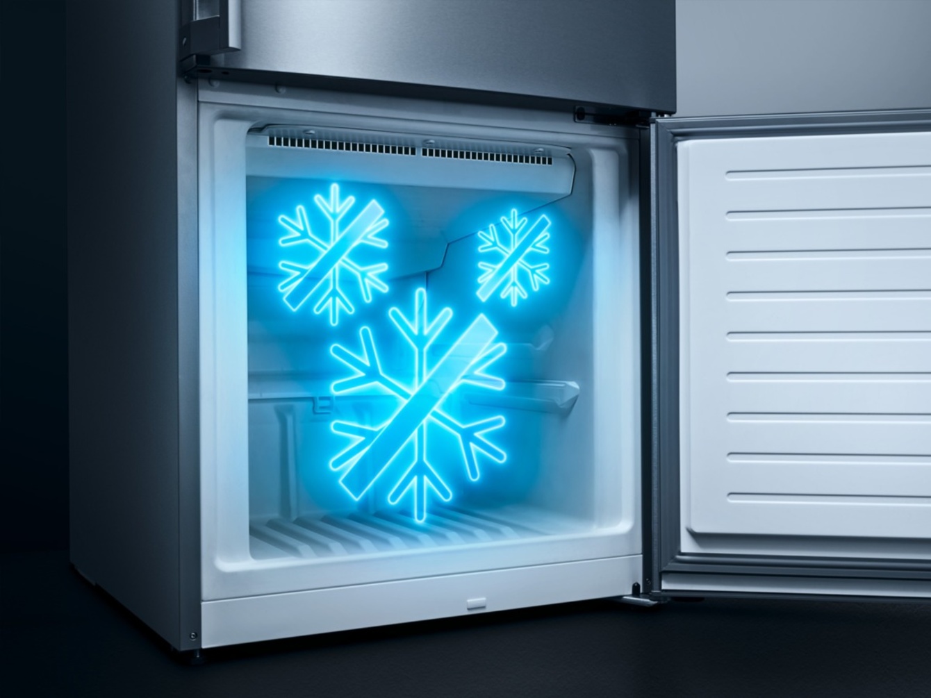 noFrost bei Elektroinstallation R. Mittag GmbH in Großkmehlen
