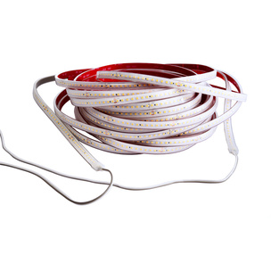 LED Stripes ab IP44 bei Elektroinstallation R. Mittag GmbH in Großkmehlen